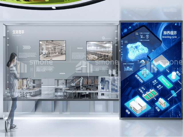 江西环形弹簧厂家现货